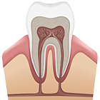 Dental & Gum Care