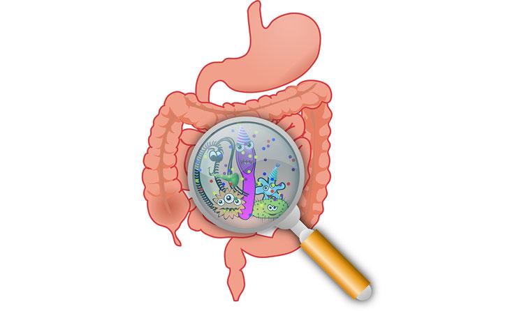 How Gut Health Affects Your Overall Health