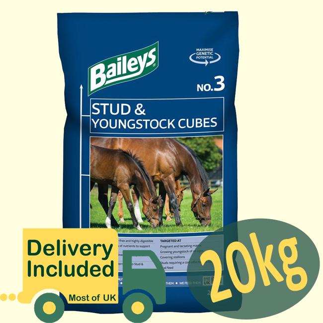 Nutrient Packed Supports Long Term Health Spillers Horse & Pony Cubes 20kg 