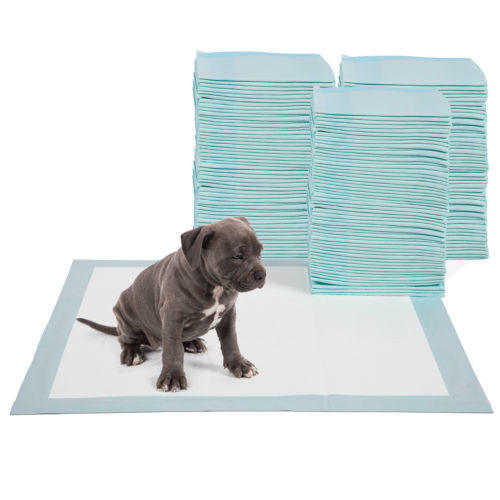 LARGE PUPPY TRAINING PADS TOILET