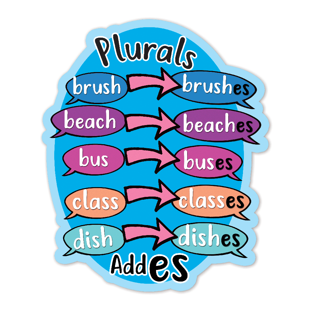 Slips Engelska Plural at Agnes Wamsley blog