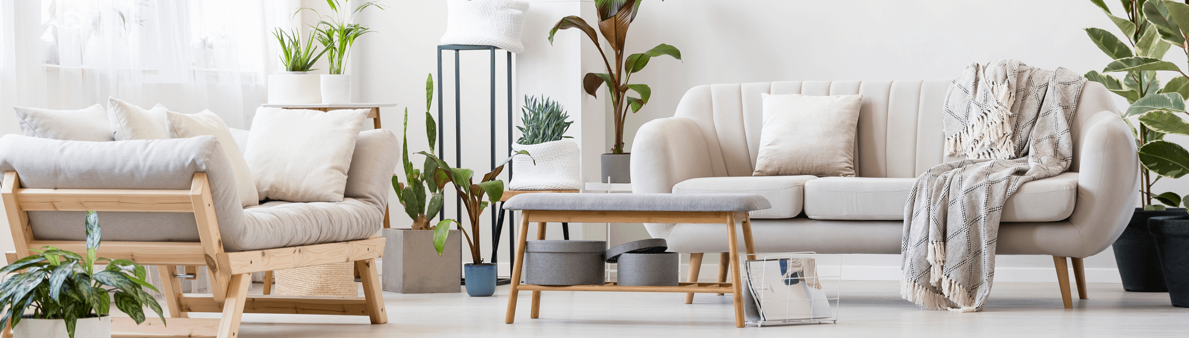 Blog Banner (T7907: CS New Theme 2023/05/16 Theme)