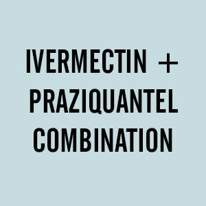 IVERMECTIN + PRAZIQUANTEL combination horsewormers