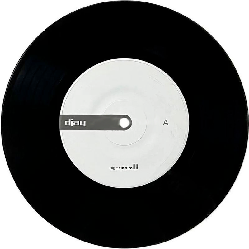 Algoriddim djay PRO AI Control Vinyl 7 inch