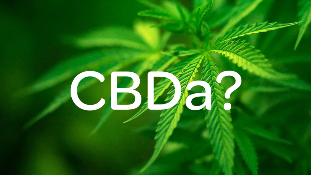 CBDA Vs CBD - What’s The Difference?