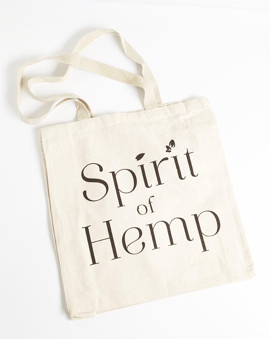spirit luggage