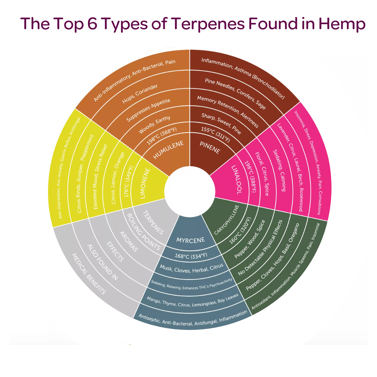 Cannabis industry gets crafty with terpenescen.acs.org