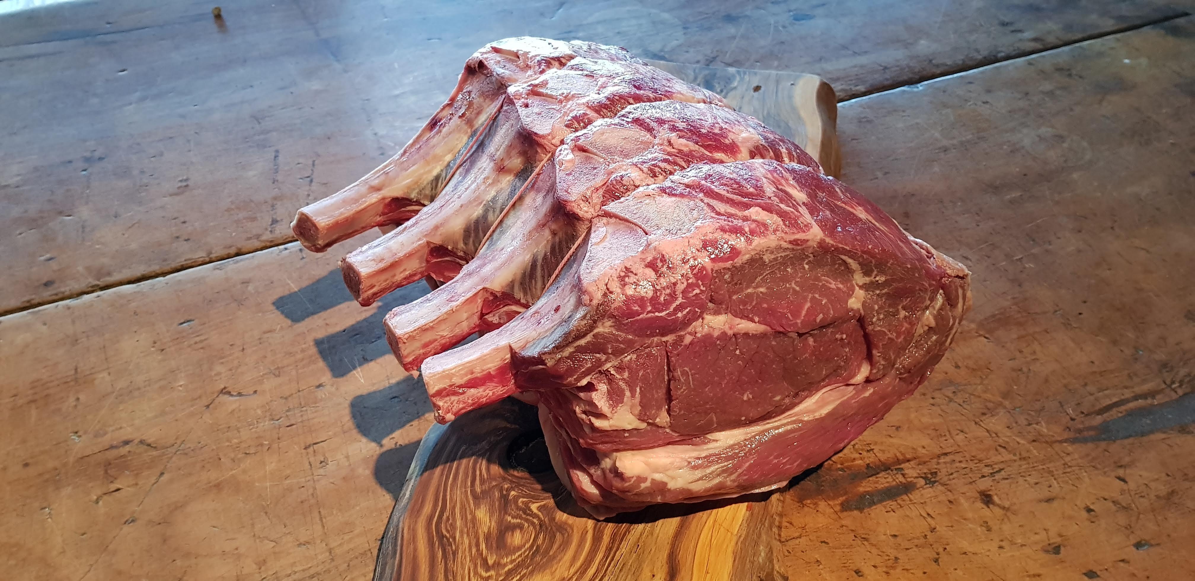 Organic Old English Longhorn Beef.......SALE!