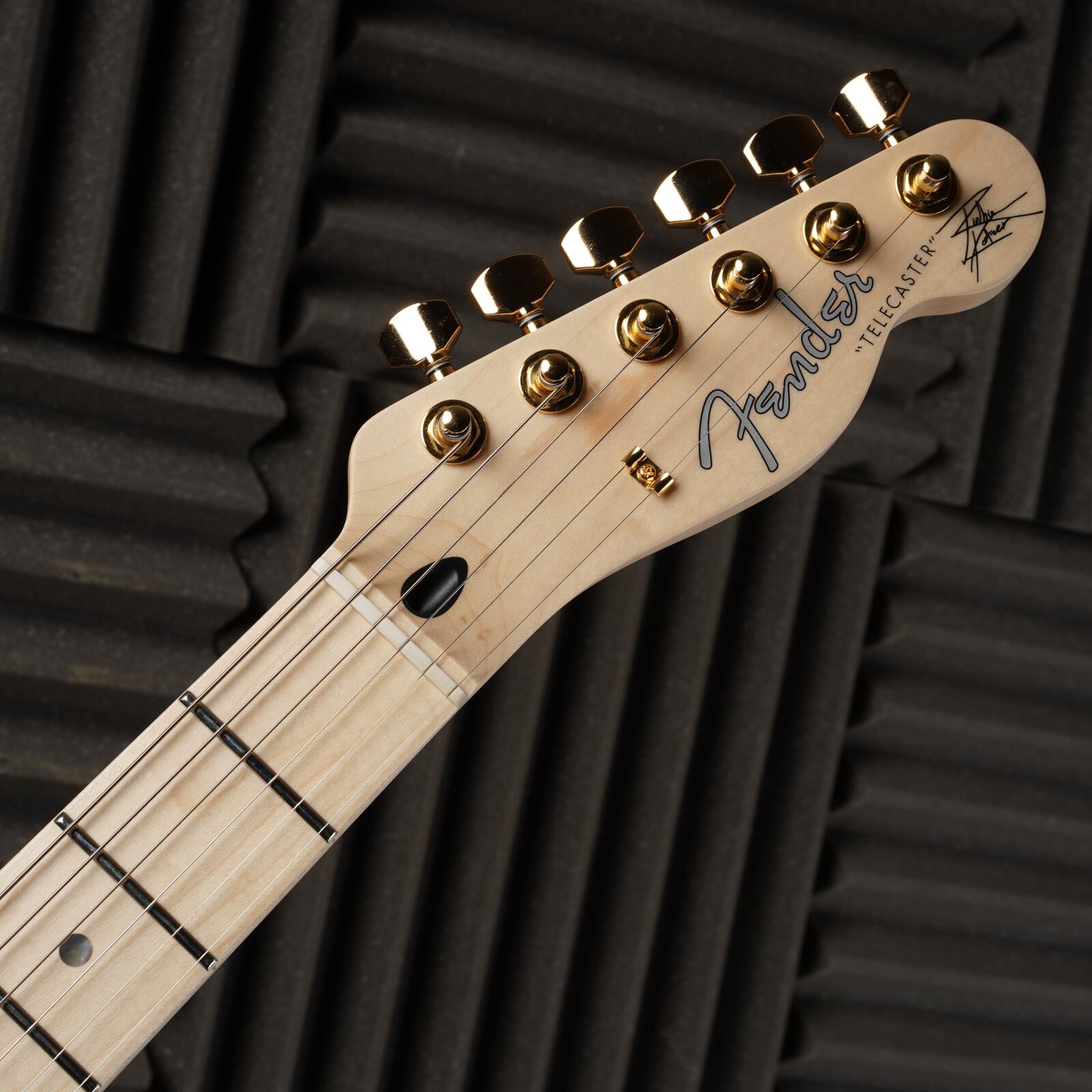 Fender Richie Kotzen Signature Telecaster MIJ - 2020 - Brown Sunburst