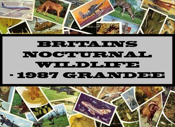 Britain's Nocturnal Wildlife - 1987 Grandee