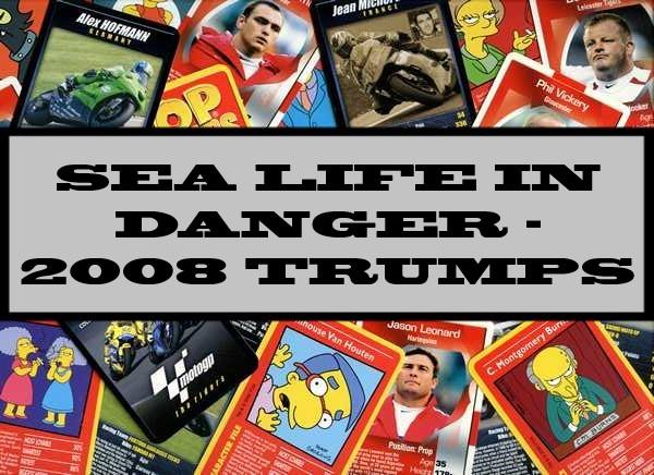 Sea Life In Danger - 2008 Winning Moves