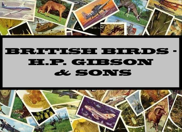 British Birds - Gibson Games