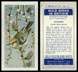 Chaffinch #8 Wild Birds In Britain 1965 Brooke Bond Tea Card C1961 