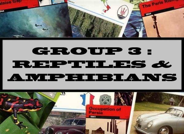 Group 3 : Reptiles & Amphibians