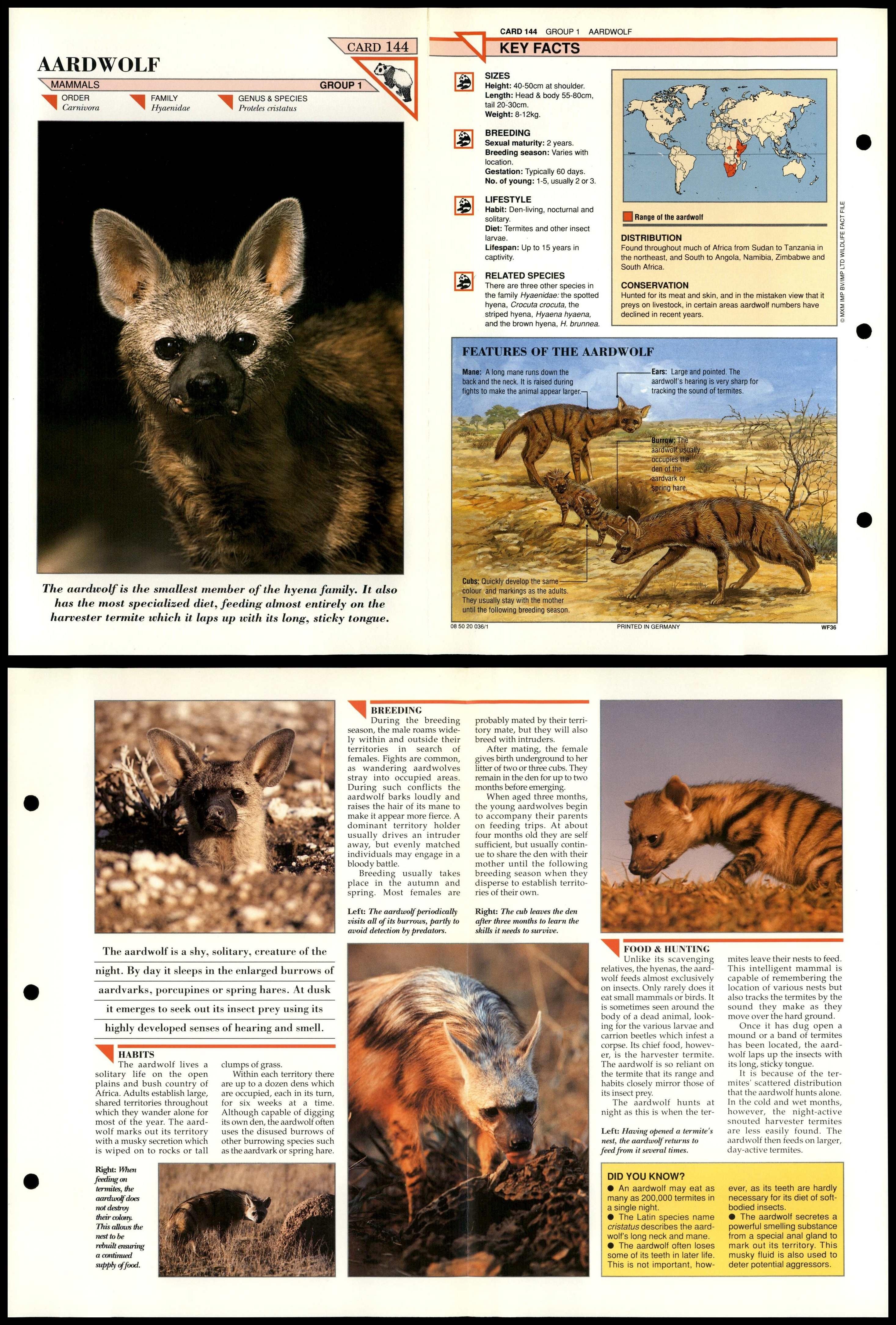 Aardwolf #144 Mammals Wildlife Fact File Fold-Out Card