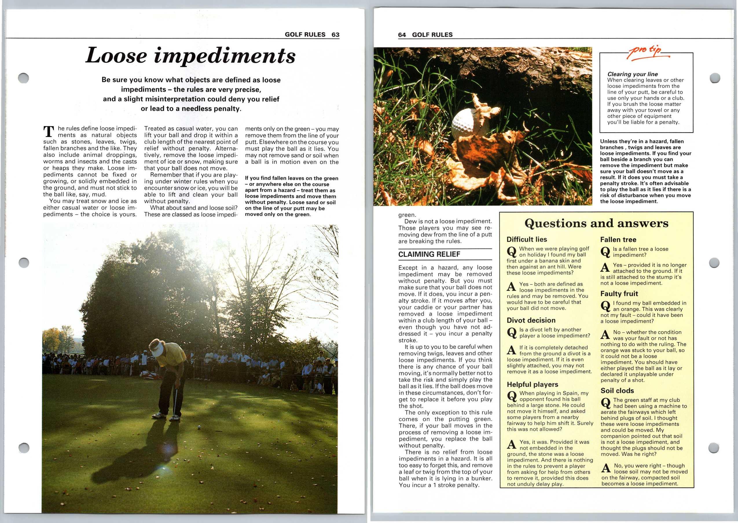 Loose Impediments Rules Improve Your Golf 198992 Eaglemoss Page