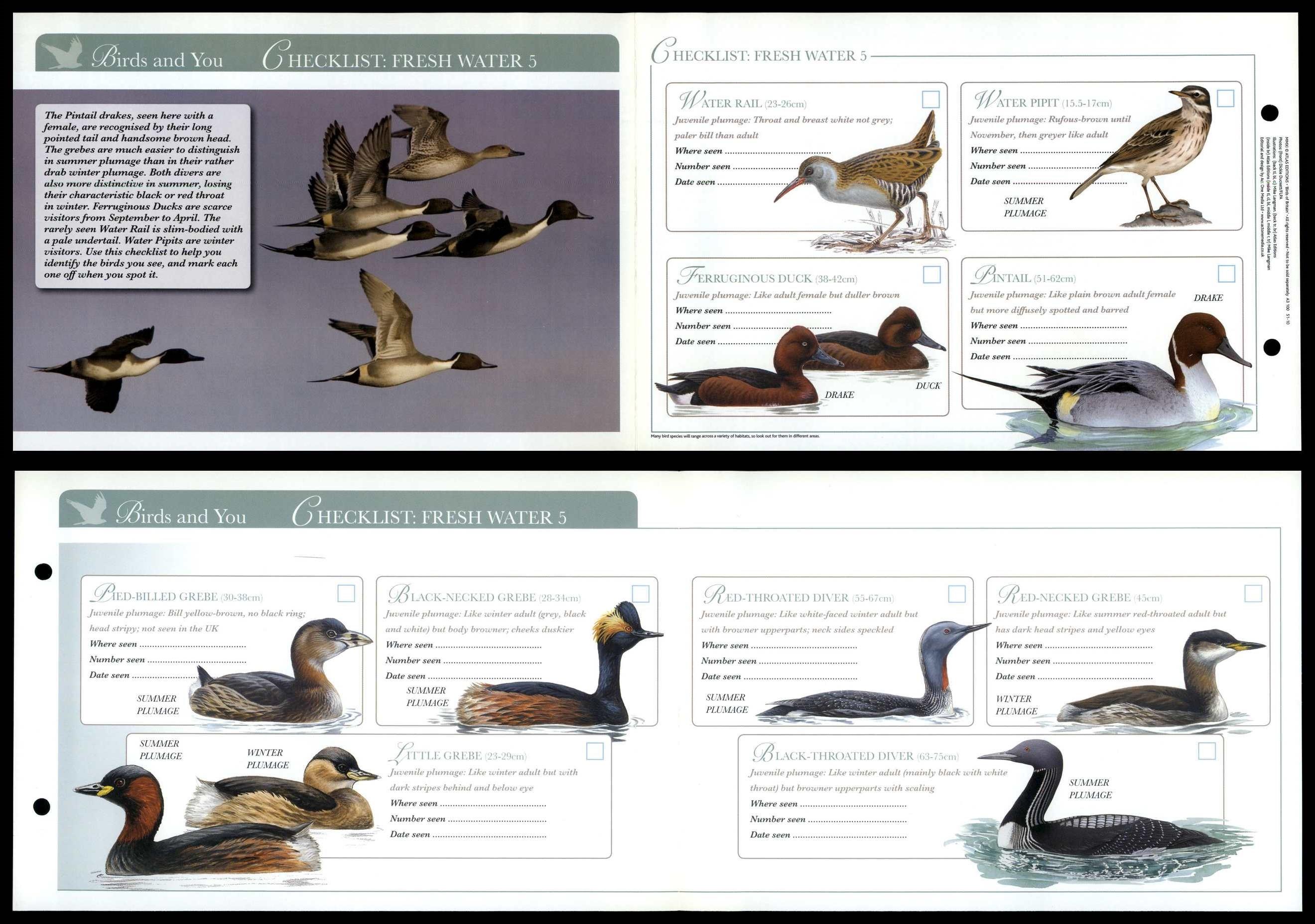 Checklist : Fresh Water 5 - Birds & You - Birds Of Britain Atlas ...