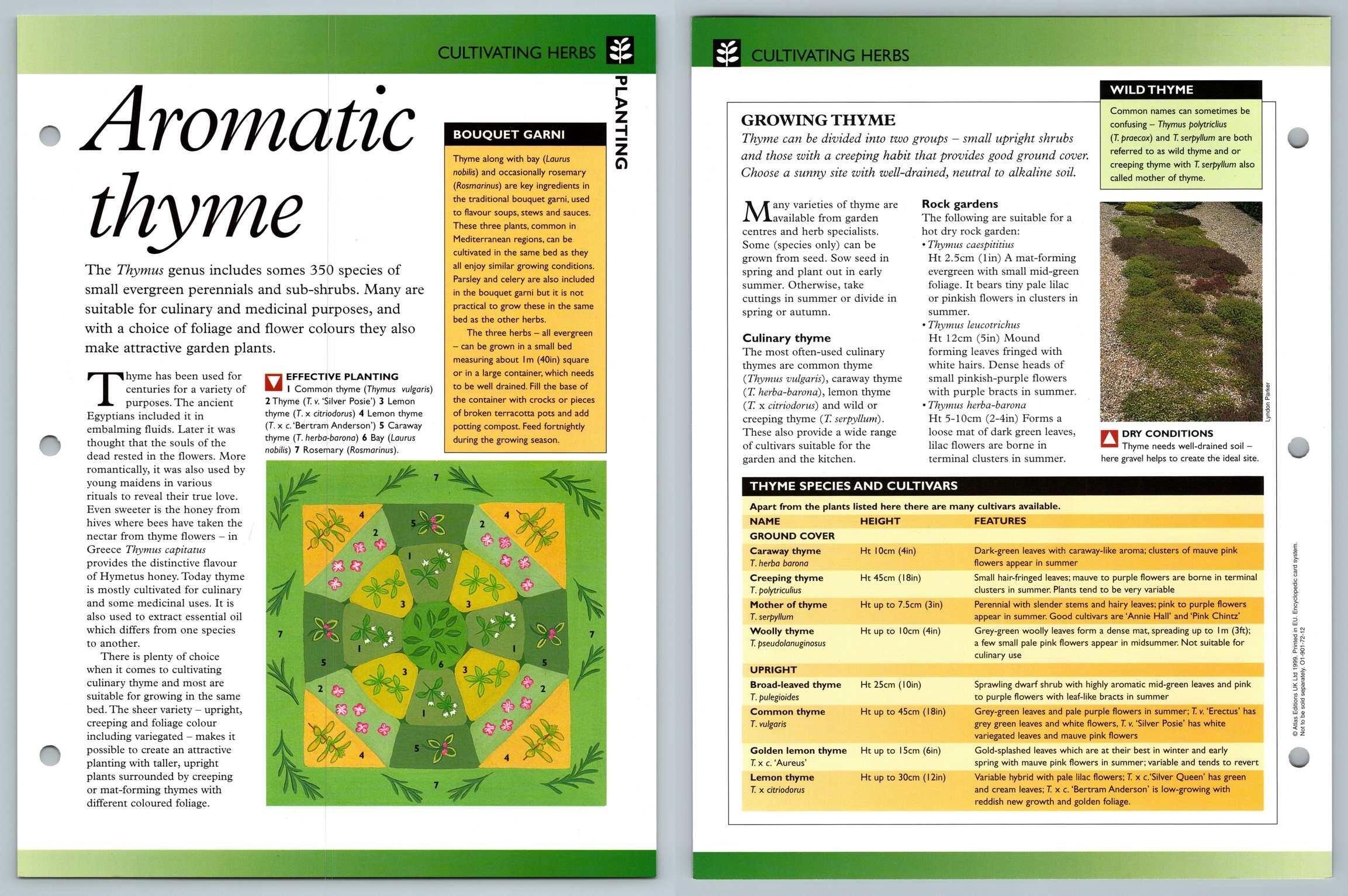 Doctors Are Hiding This Aromatic Brew'S Secret - qio6pkq