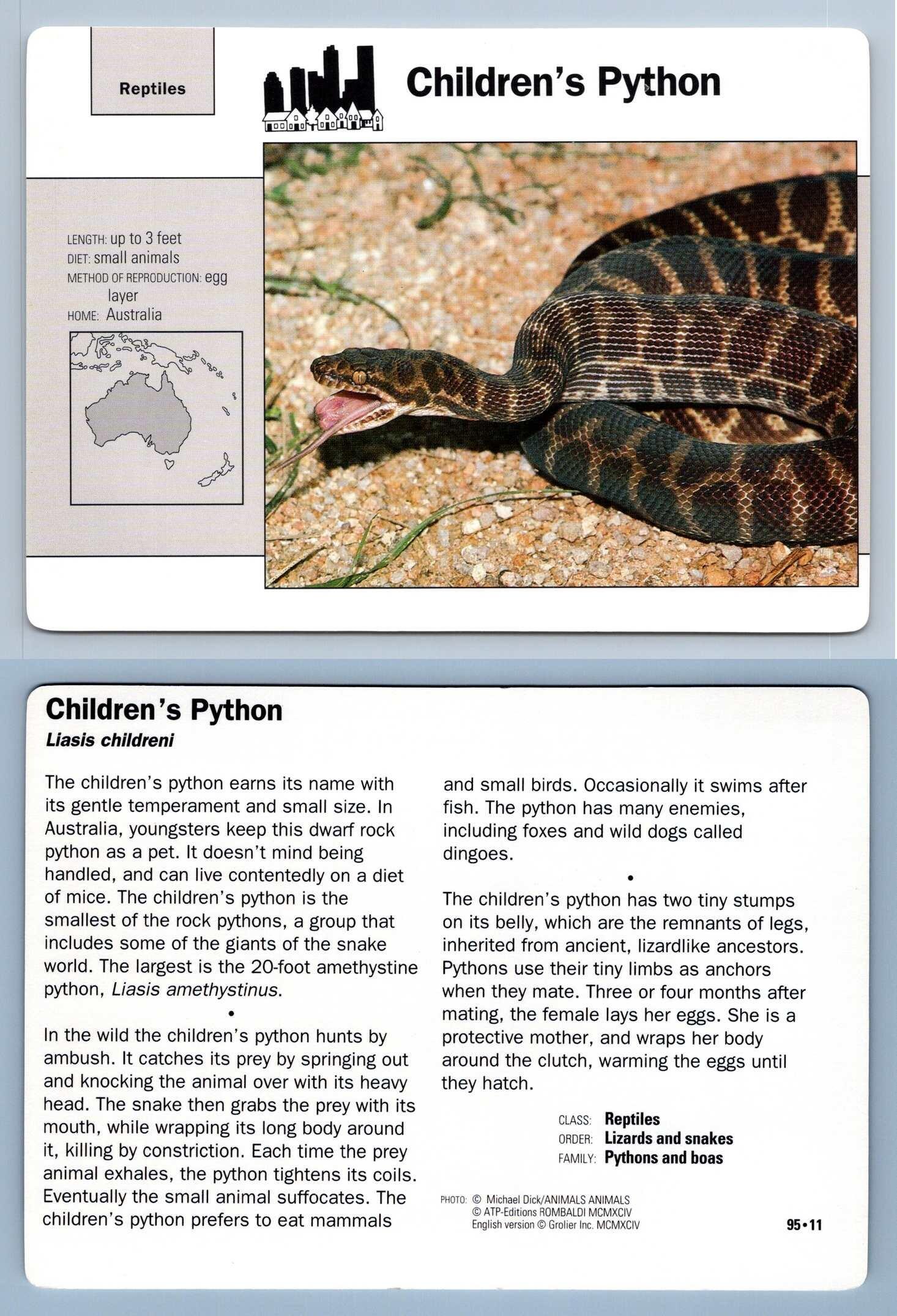 Children's Python #95.11 - Reptiles - Grolier Wildlife Adventure Card