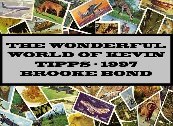 Wonderful World Of Kevin Tipps - 1997 Brooke Bond