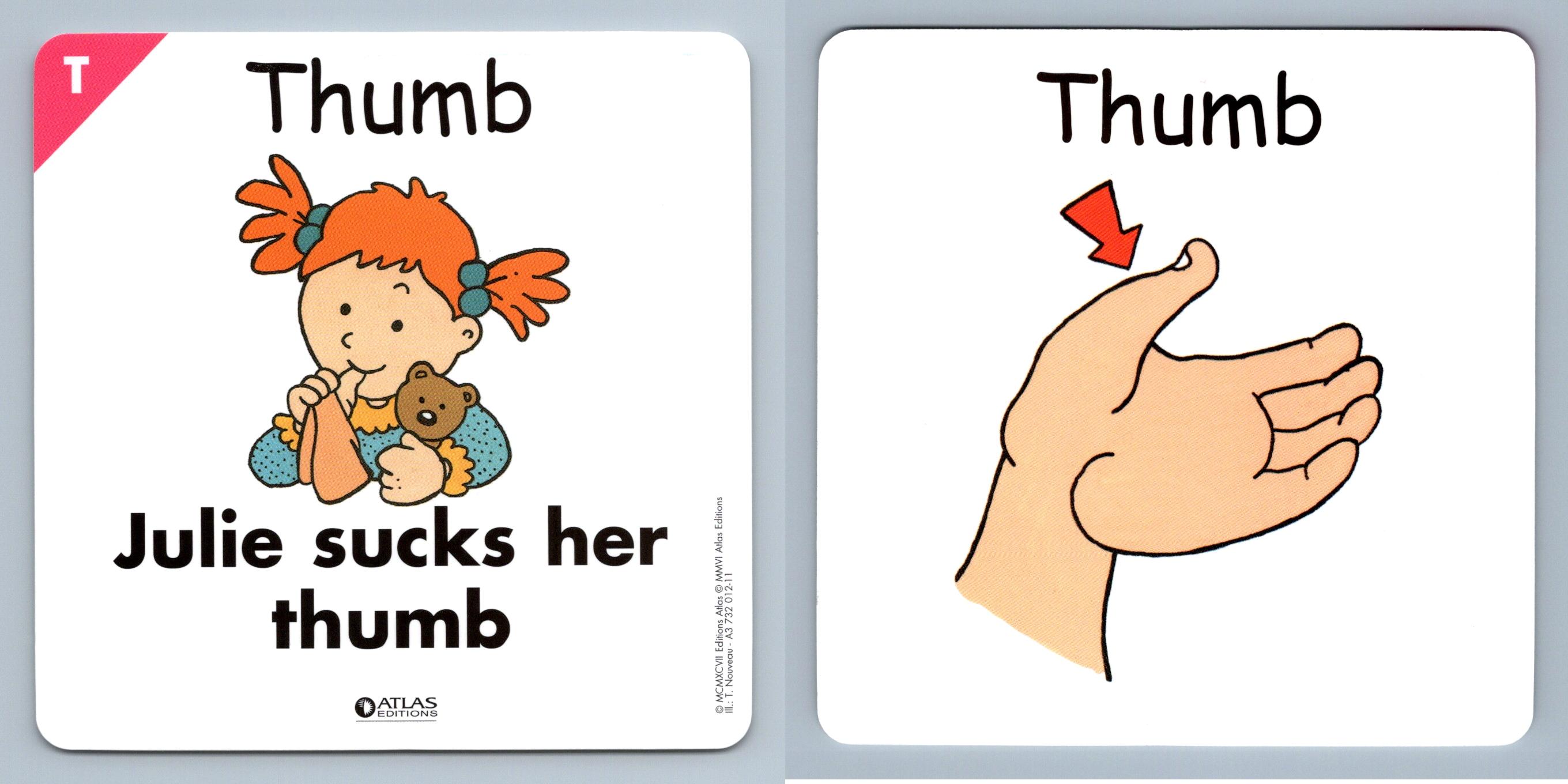 Knee Flashcards