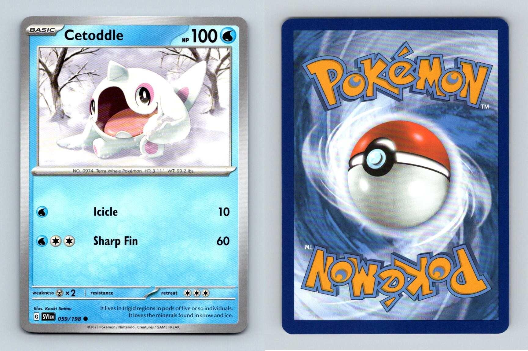 Cetoddle Scarlet Violet Common Pokemon Tcg Card