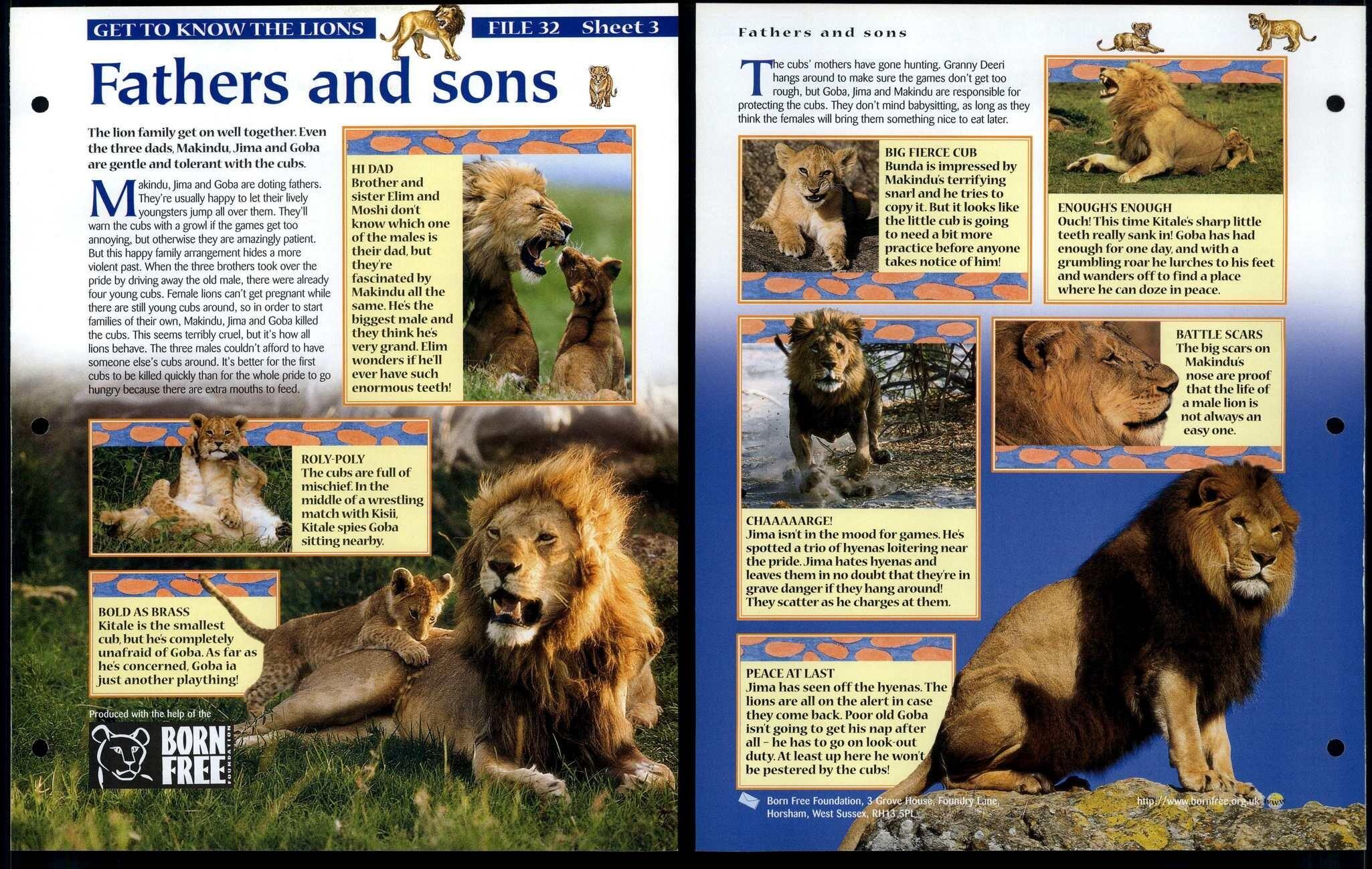 Fathers & Sons #3 Get To Know Animals, Animals, Animals Fact File Page