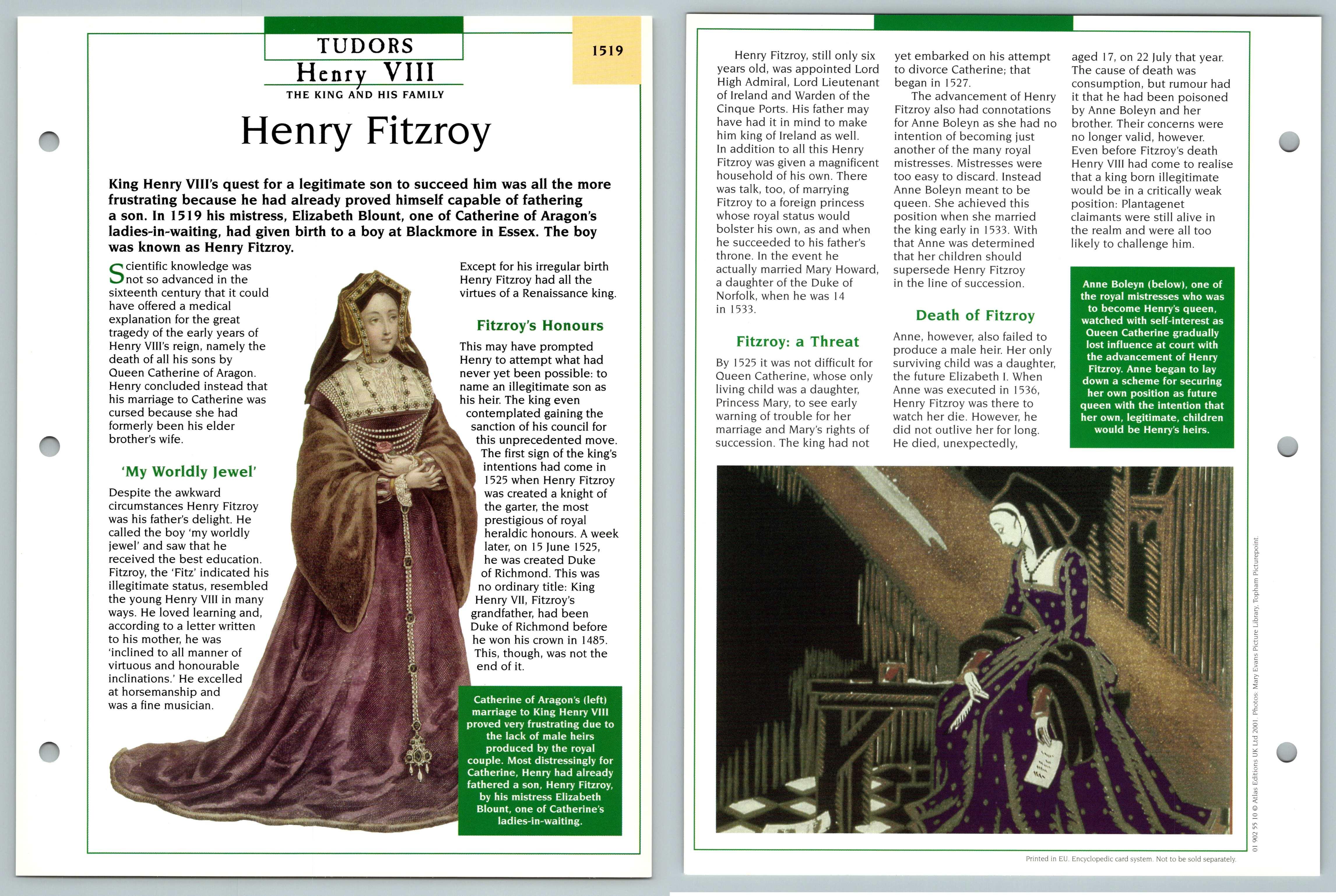 Henry fitzroy hotsell tudors