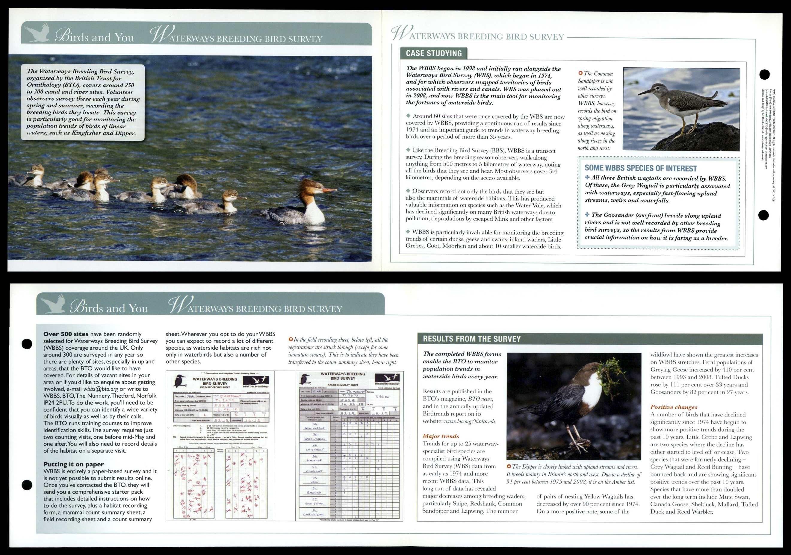 Waterways Breeding Bird Survey - Birds & You - Birds Of Britain Atlas ...