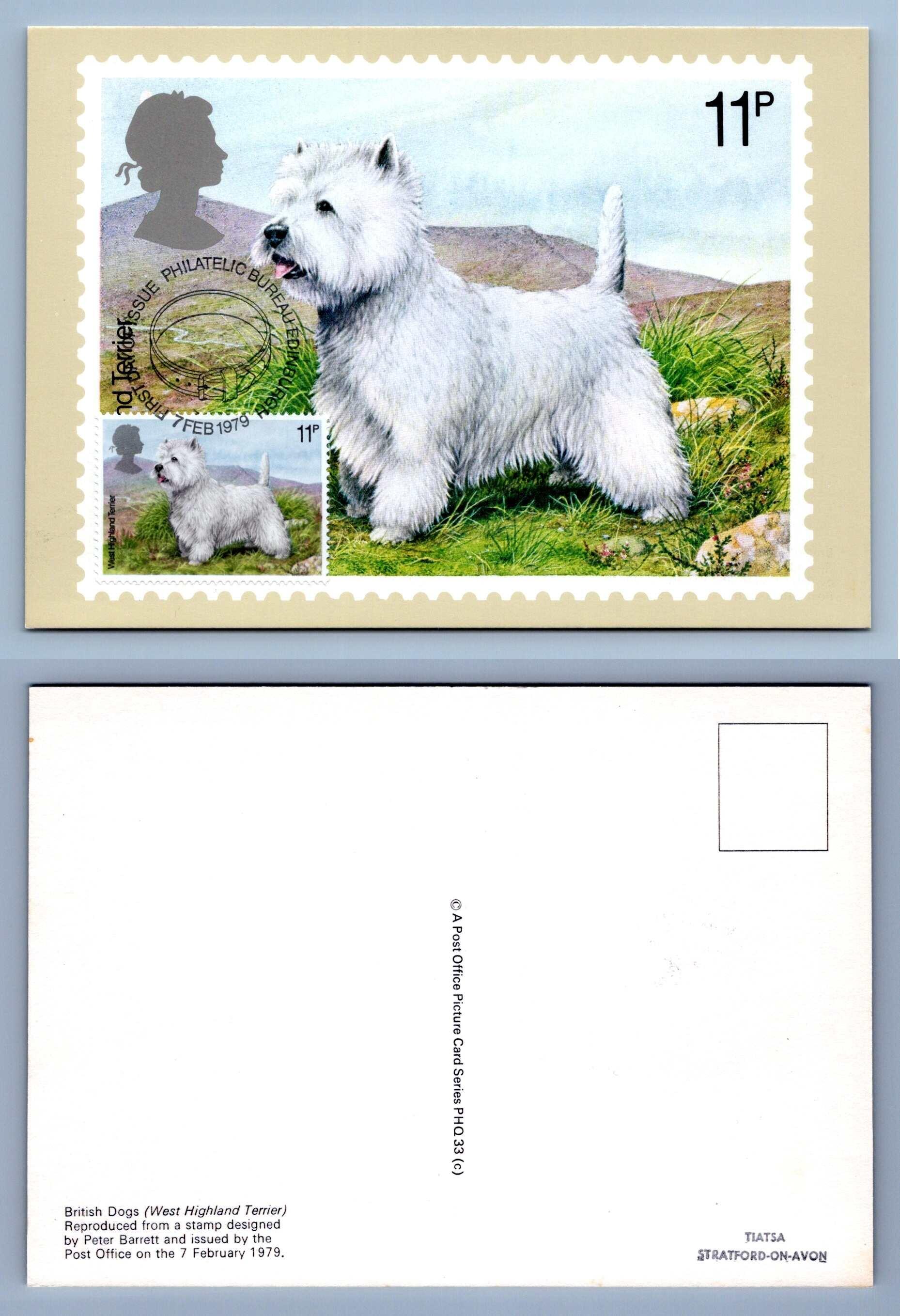 West Highland Terrier / British Dogs - 1979 PHQ #33c Front H/S