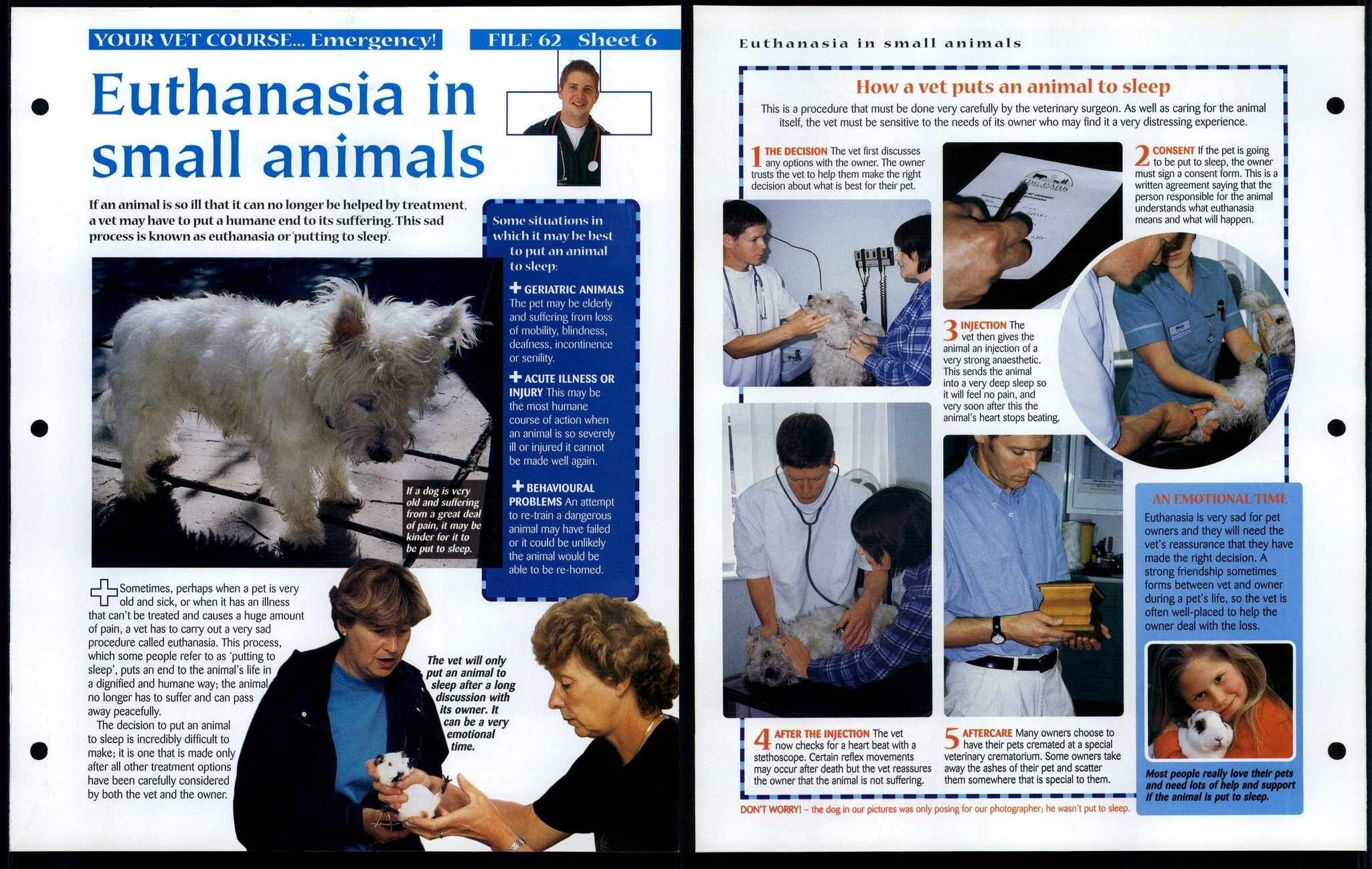 Euthanasia In Small Animals 6 Vet Course Animals, Animals, Animals