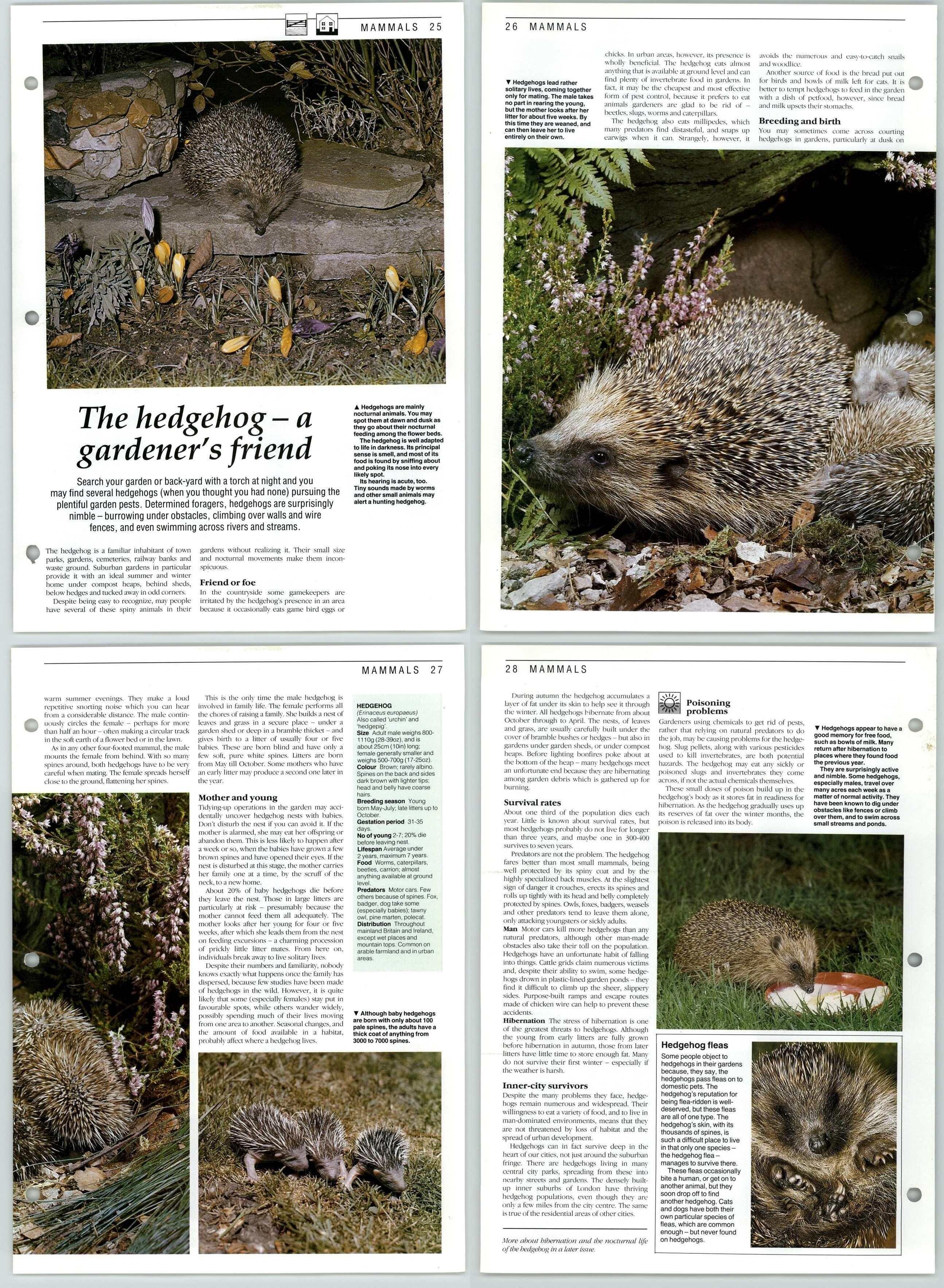 The Living Countryside 2 Pages Biology Diagrams