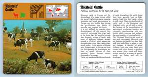 1970's Rencontre Safari Wildlife Card Mammals Saint Bernard 