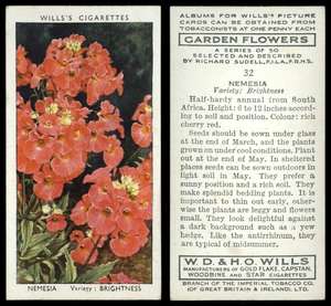 Wills 1939 No.23 GYPSOPHILA Garden Flowers by Sudell W.D.& H.D 