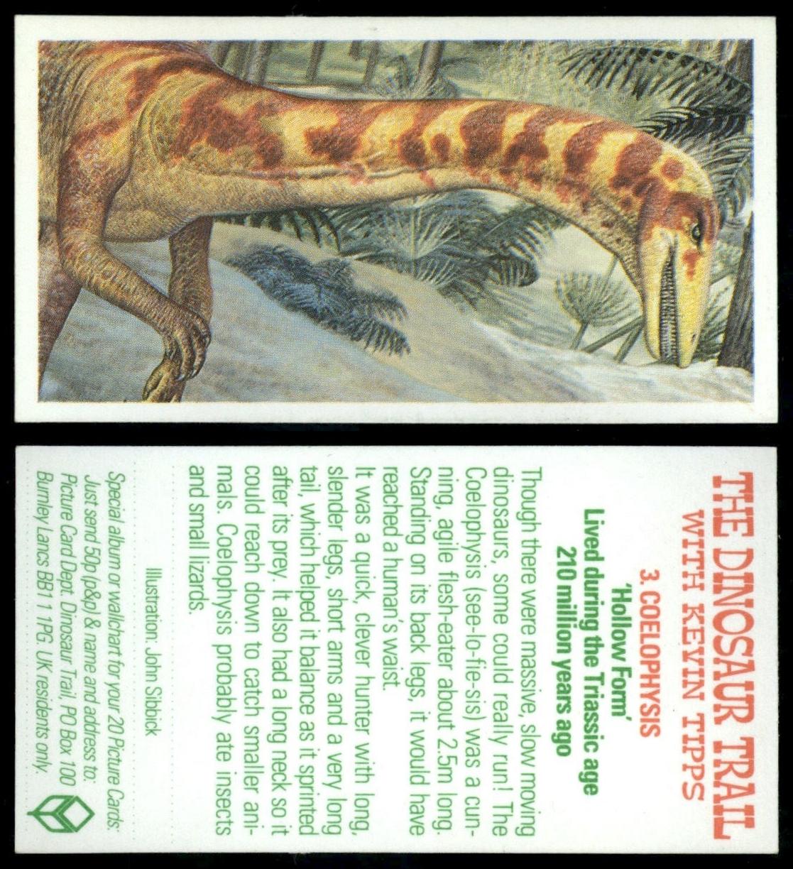 Coelophysis 3 The Dinosaur Trail 1993 Brooke Bond Tea Card