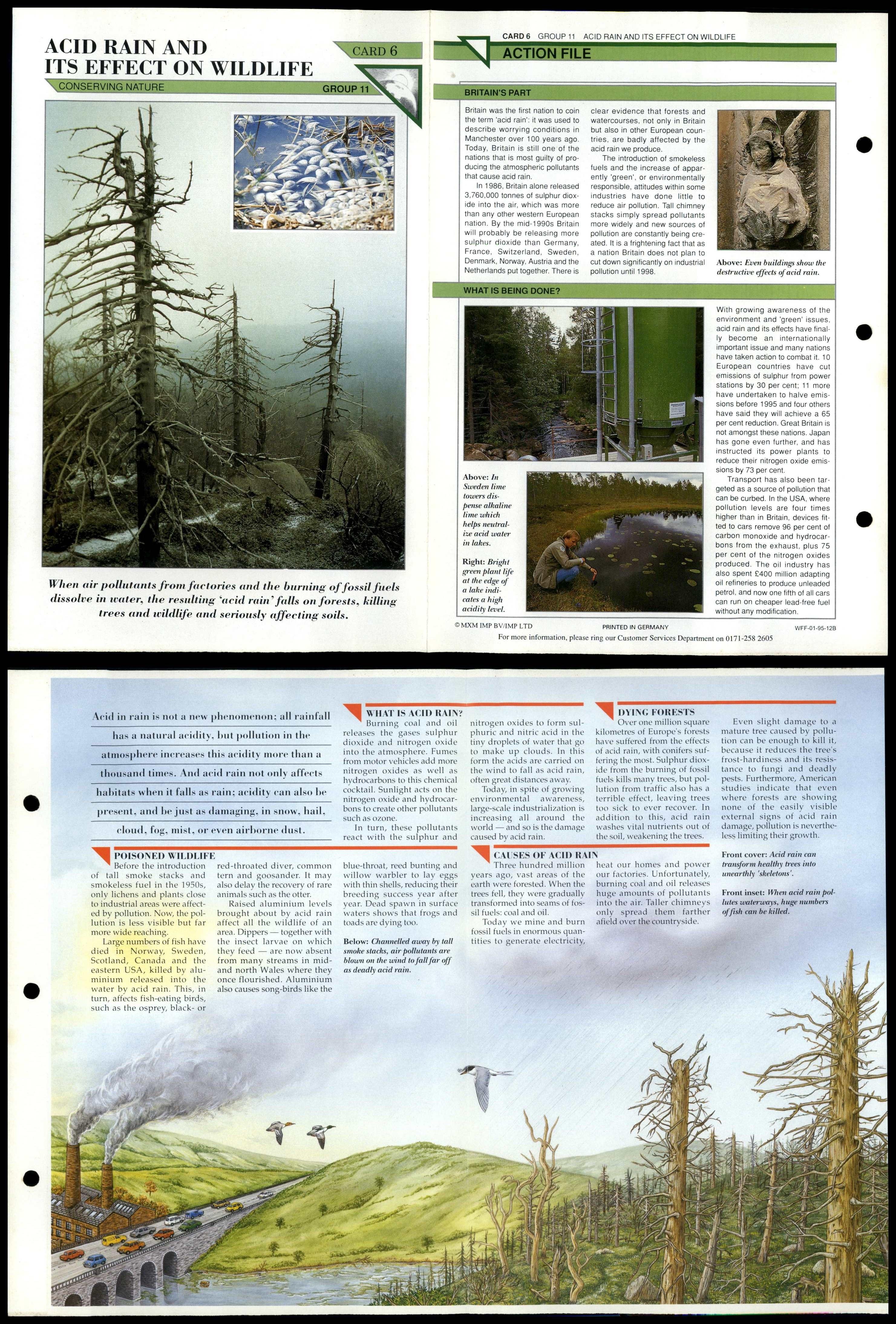 Acid Rain & Effect On Wildlife #6 Conservation Wildlife Fact File Fold ...