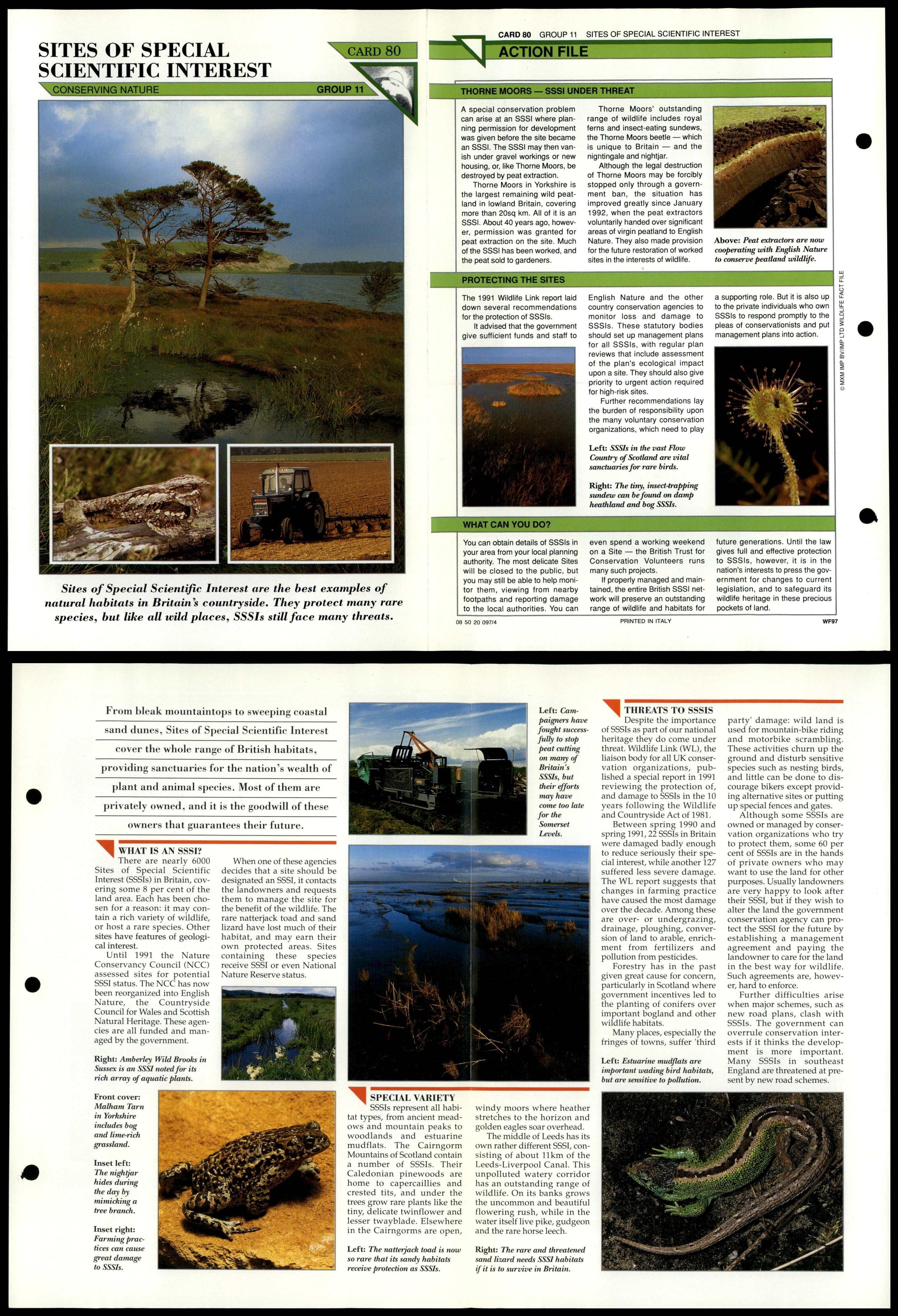 Sites Scientific Interest #80 Conservation Wildlife Fact File Fold-Out Card