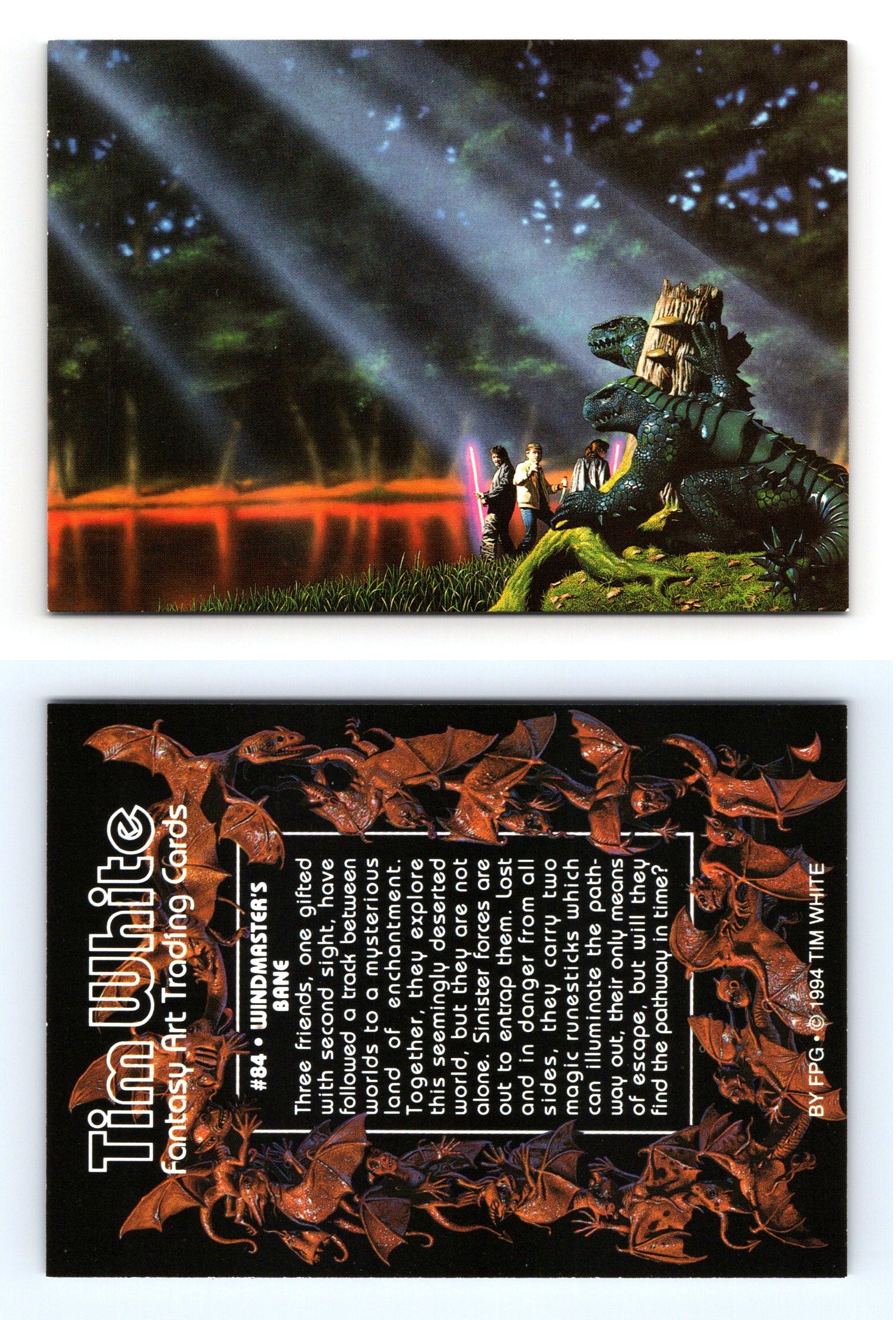 Windmaster's Bane #84 Tim White Fantasy Art 1994 FPG Trading Card