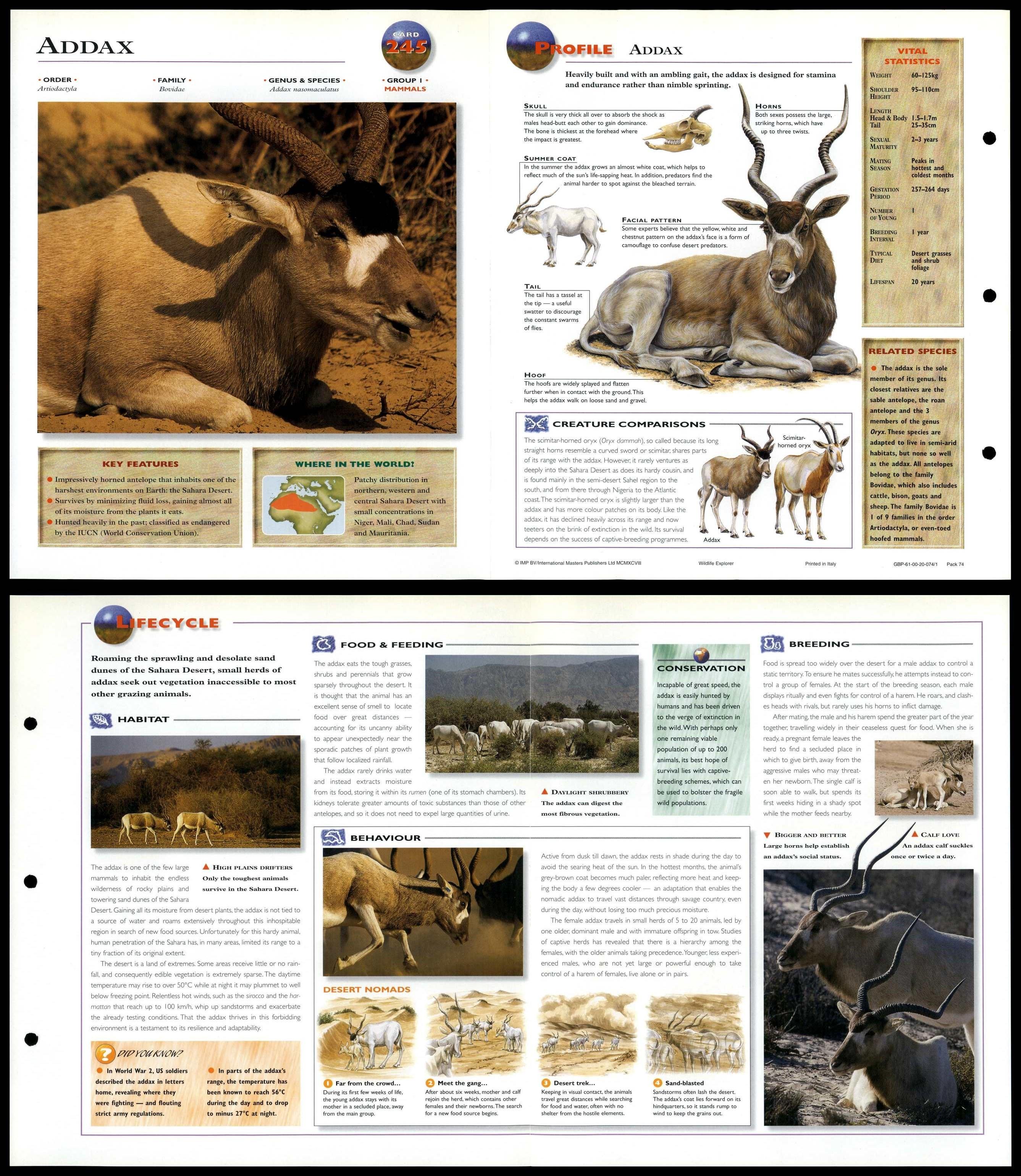 Addax 245 Mammals Wildlife Explorer FoldOut Card