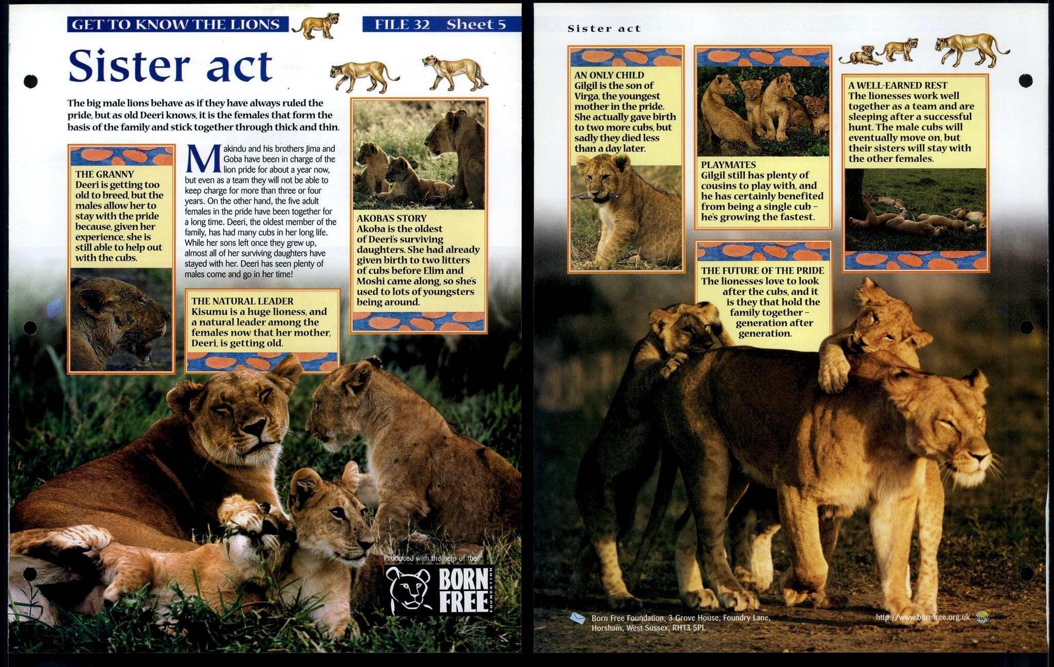 Sister Act #5 Get To Know Animals, Animals, Animals Fact File Page