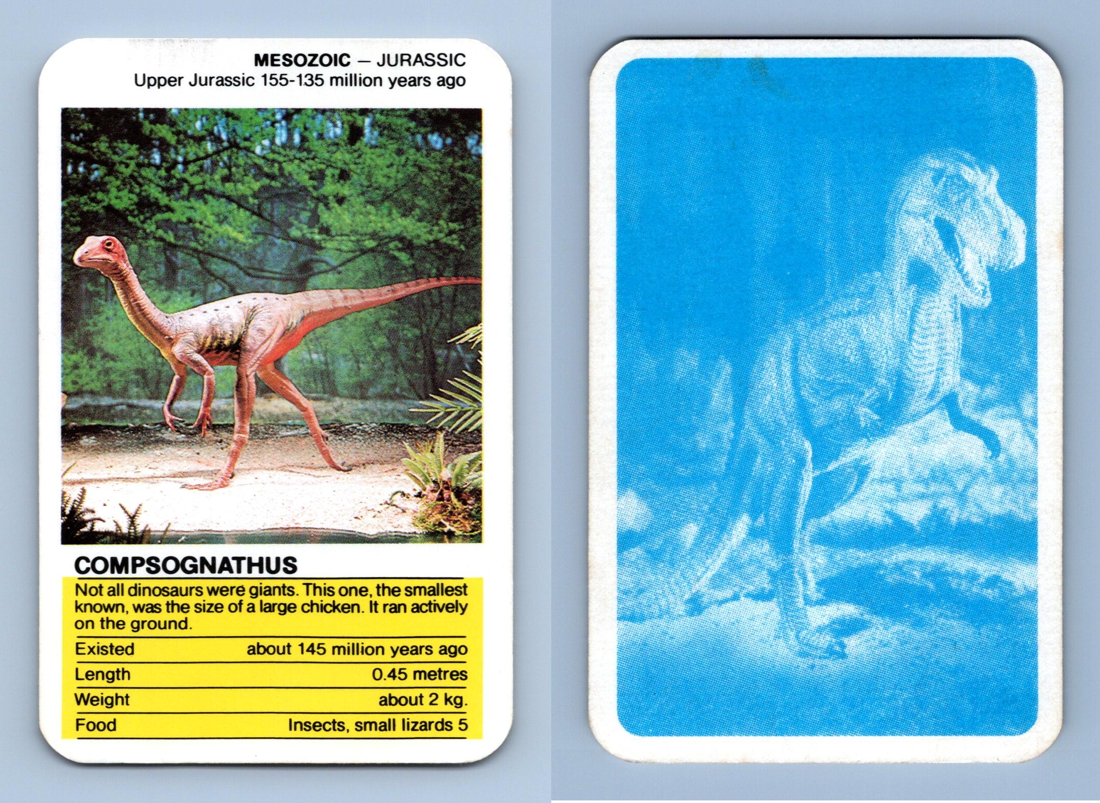 Compsognathus - Prehistoric Monsters Waddingtons Top Trumps Card