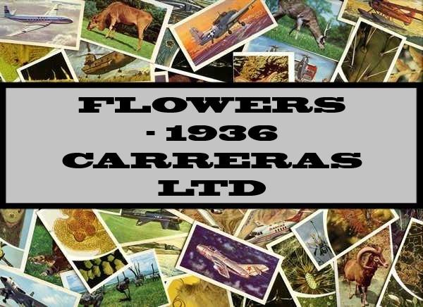 Flowers - 1936 Carreras Ltd