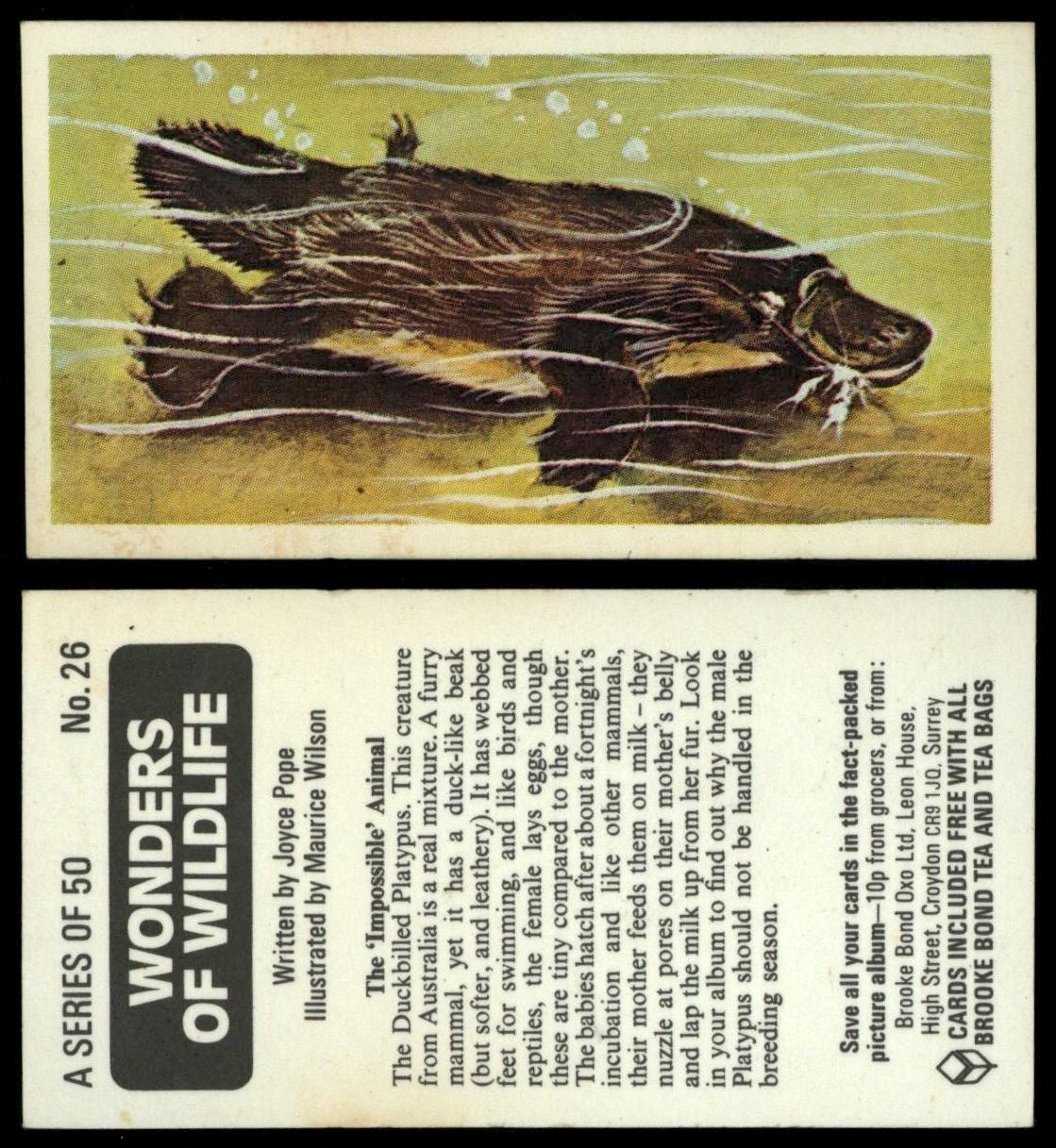 The Impossible Animal #26 Wonders Of Wildlife 1976 Brooke Bond Card