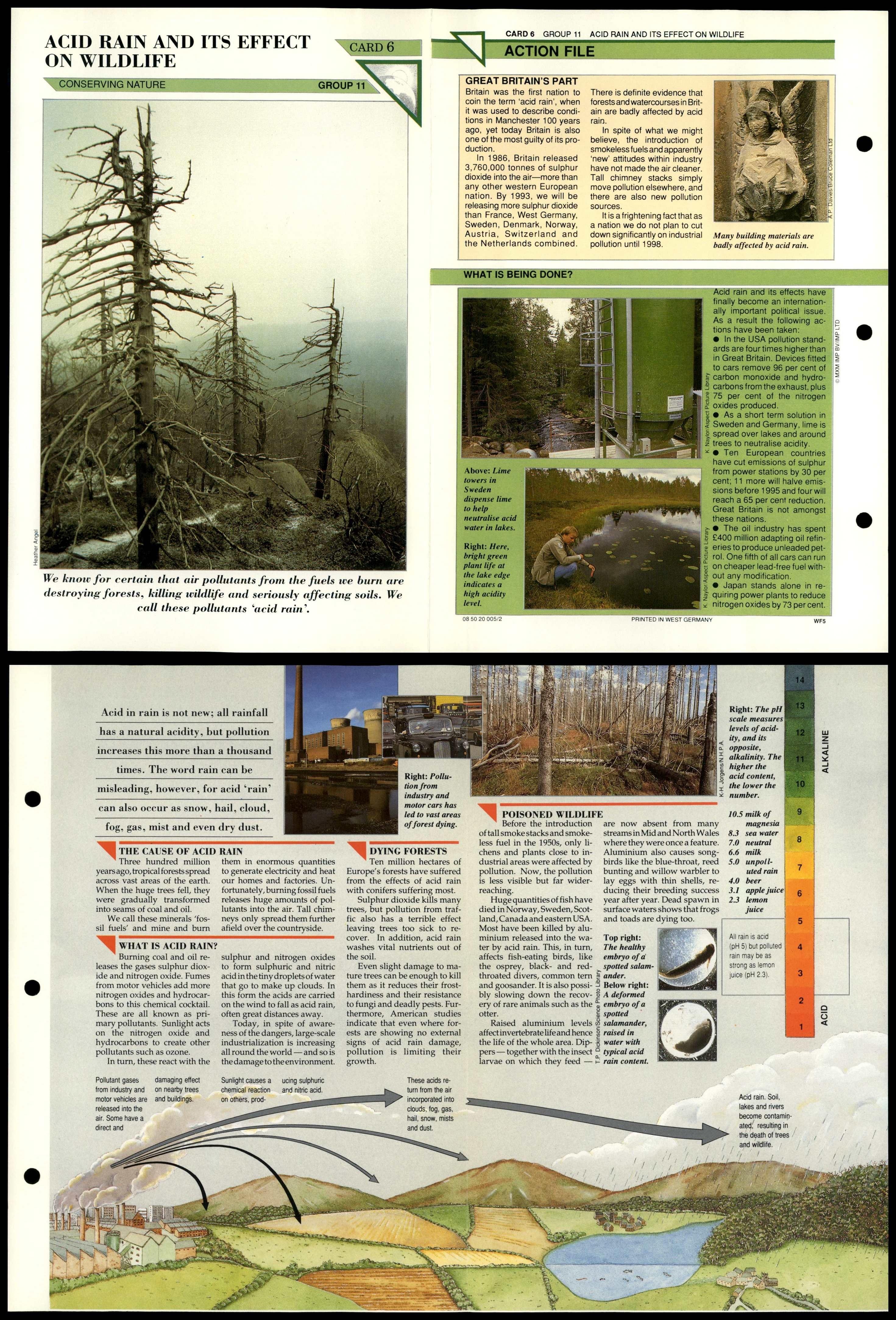 Acid Rain & Effect On Wildlife #6 Conservation Wildlife Fact File Fold-Out Card - Picture 2 of 2