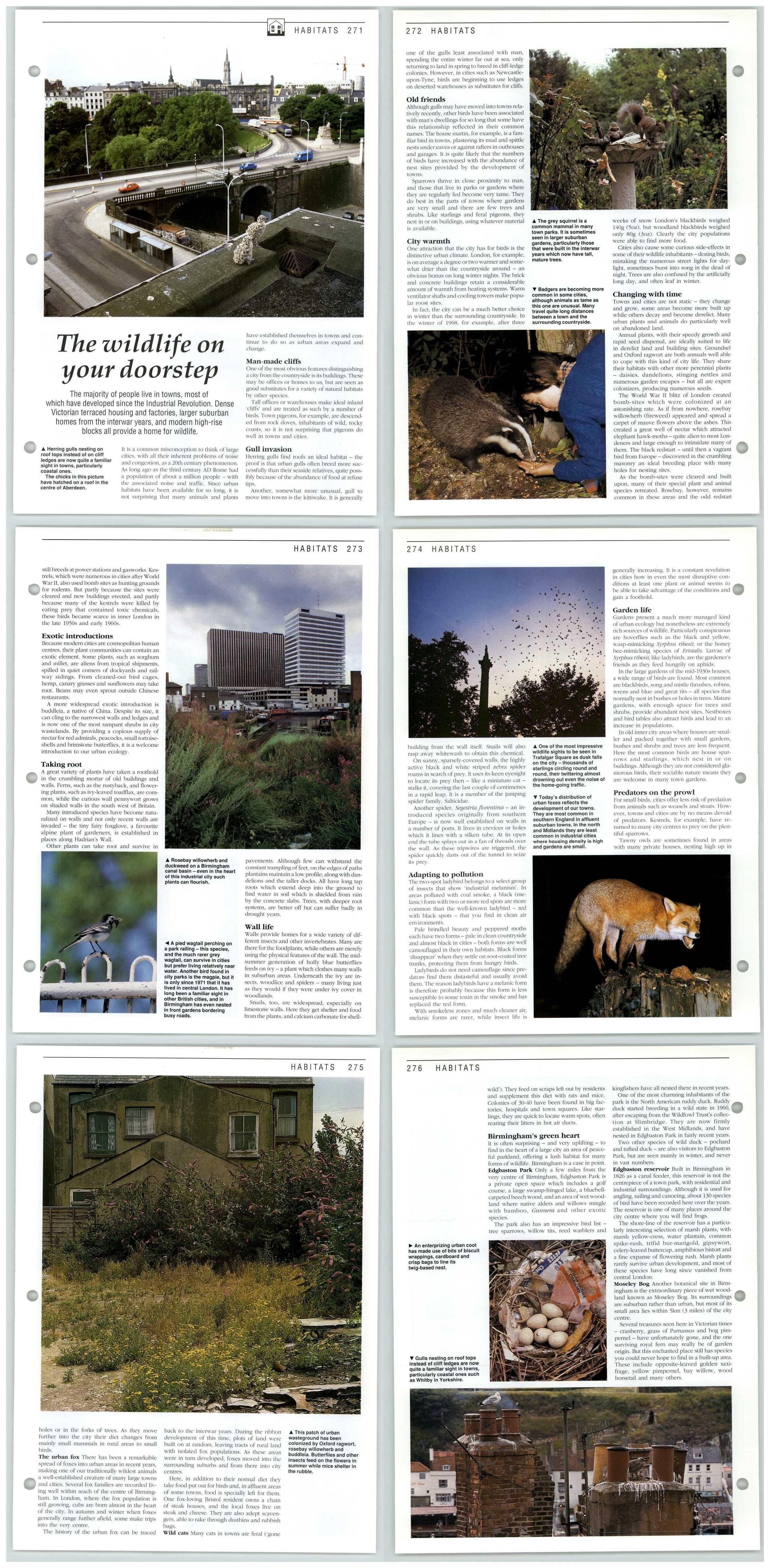 The Wildlife On Your Doorstep - Habitats - The Living Countryside 3 Pages