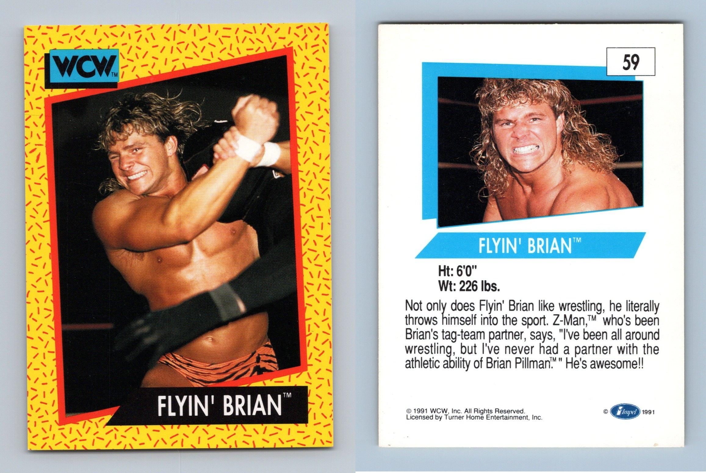 1991 Impel WCW #68 Terry Taylor Wrestling Card