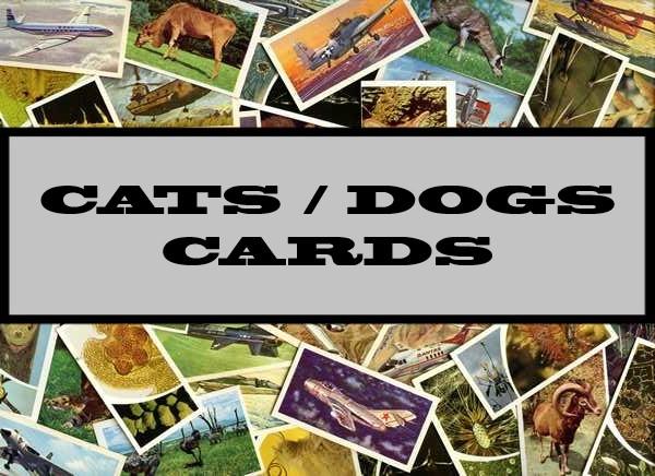 Cats / Dogs Cards