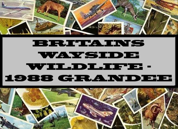Britains Wayside Wildlife - 1988 Grandee