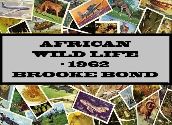African Wild Life - 1962 Brooke Bond