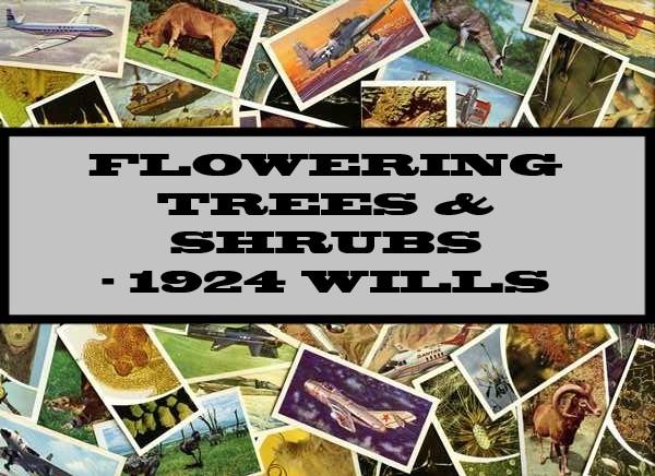 Flowering Trees & Shrubs - 1924 Wills